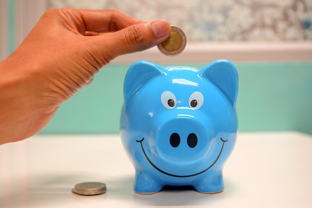 Cómo ahorrar dinero en su casa y en las necesidades de su familia